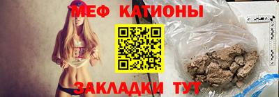 прущие грибы Камышлов