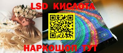 прущие грибы Камышлов