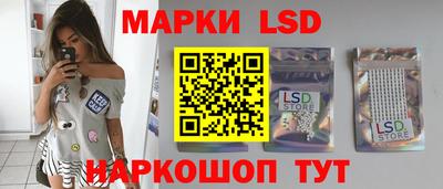 прущие грибы Камышлов