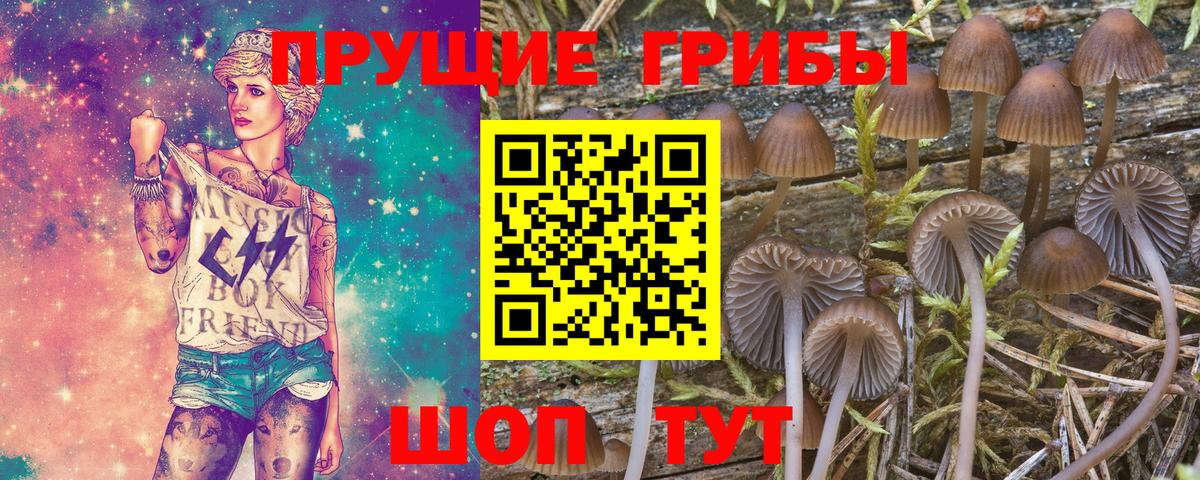 Галлюциногенные грибы Magic Shrooms Кропоткин
